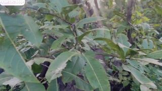 Desi indian village girl forest sex video fuck