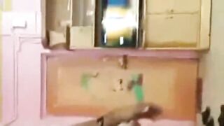 Indian couple fuck at home